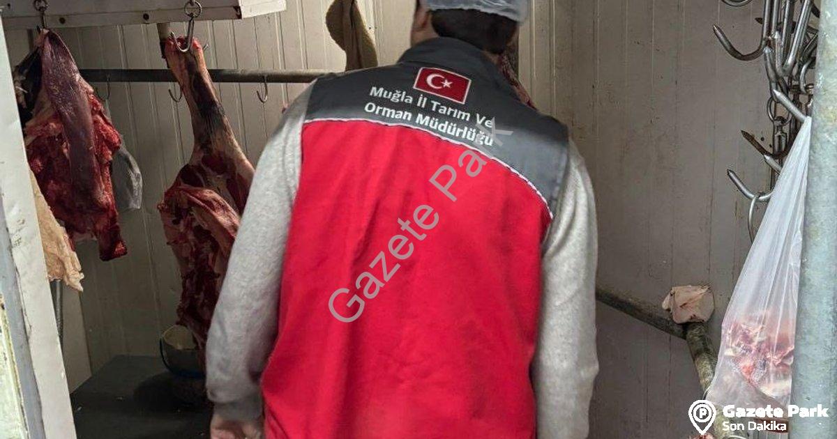 "Menteşe'de Kasaplara Sıkı Takip: Gıda Güvenliği İçin Kapsamlı Denetim" başlıklı haber için fotoreal