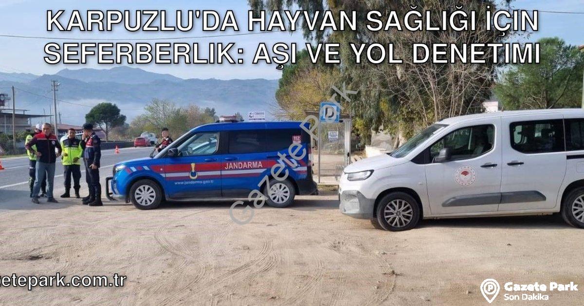 "Karpuzlu'da Hayvan Sağlığı İçin Seferberlik: Aşı ve Yol Denetimi" başlıklı haber için fotorealistik