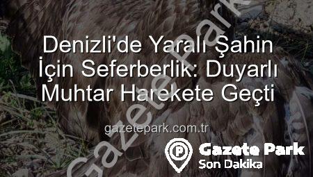 Denizli’de Yaralı Şahin İçin Seferberlik: Duyarlı Muhtar Harekete Geçti