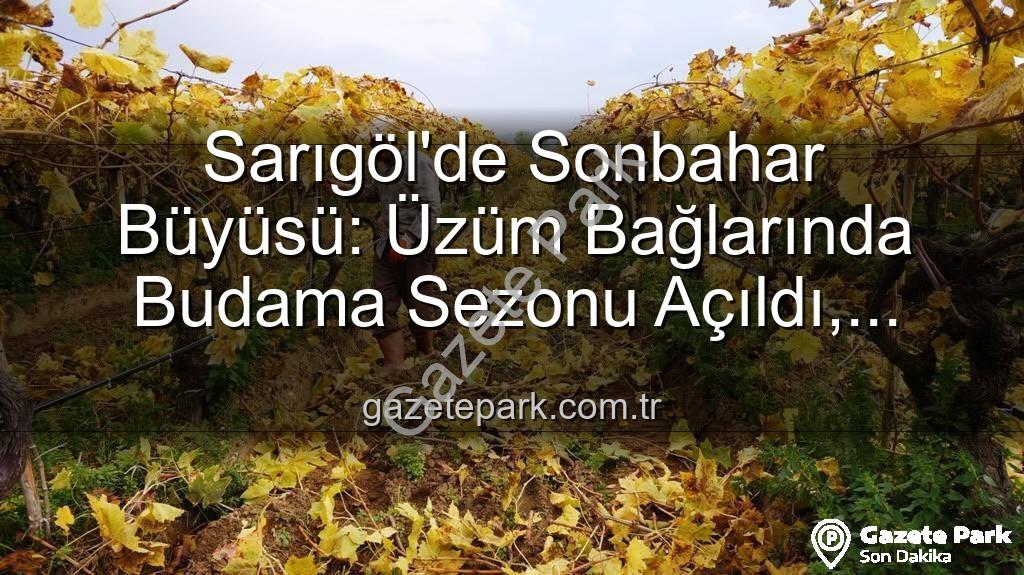 Sarıgöl budama - Sarıgöl'de Sonbahar Büyüsü: Üzüm Bağlarında Budama Sezonu Açıldı, Doğanın Renkleri İşçilere Eşlik Ediyor