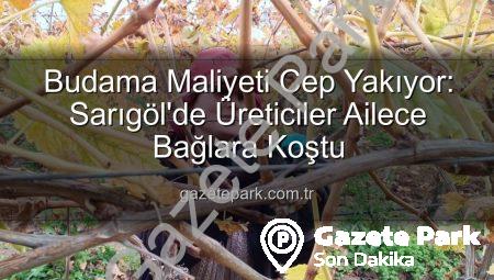 Budama Maliyeti Cep Yakıyor: Sarıgöl’de Üreticiler Ailece Bağlara Koştu