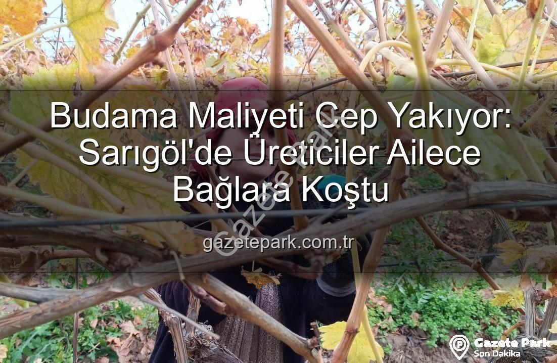 budama maliyeti - Budama Maliyeti Cep Yakıyor: Sarıgöl'de Üreticiler Ailece Bağlara Koştu