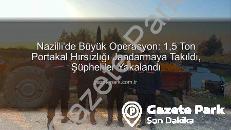 Nazilli’de Büyük Operasyon: 1,5 Ton Portakal Hırsızlığı Jandarmaya Takıldı, Şüpheliler Yakalandı