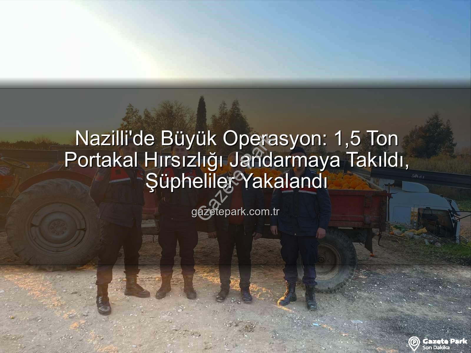 portakal hırsızlığı - Nazilli'de Büyük Operasyon: 1,5 Ton Portakal Hırsızlığı Jandarmaya Takıldı, Şüpheliler Yakalandı