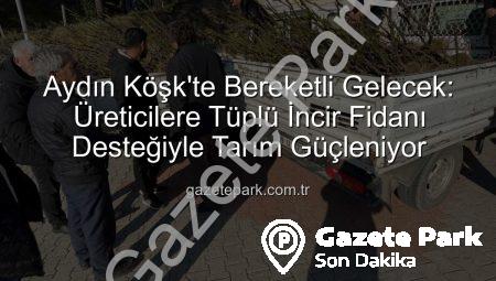 Aydın Köşk’te Bereketli Gelecek: Üreticilere Tüplü İncir Fidanı Desteğiyle Tarım Güçleniyor
