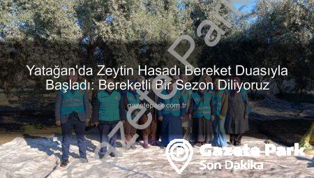 Yatağan’da Zeytin Hasadı Bereket Duasıyla Başladı: Bereketli Bir Sezon Diliyoruz