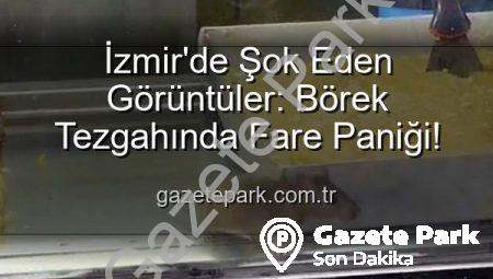 İzmir’de Şok Eden Görüntüler: Börek Tezgahında Fare Paniği!