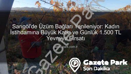 Sarıgöl’de Üzüm Bağları Yenileniyor: Kadın İstihdamına Büyük Katkı ve Günlük 1.500 TL Yevmiye Fırsatı