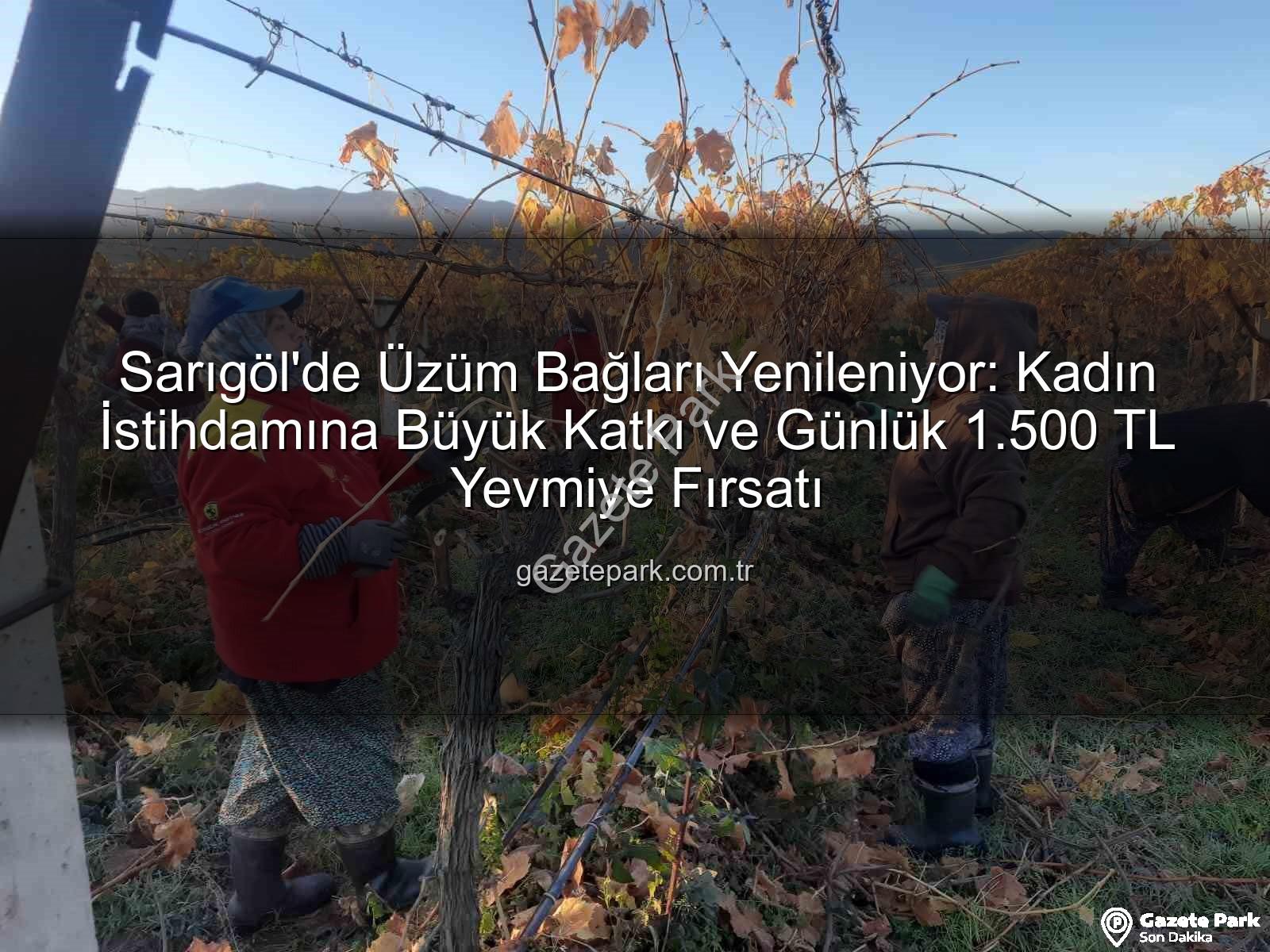 kadın istihdamı - Sarıgöl'de Üzüm Bağları Yenileniyor: Kadın İstihdamına Büyük Katkı ve Günlük 1.500 TL Yevmiye Fırsatı