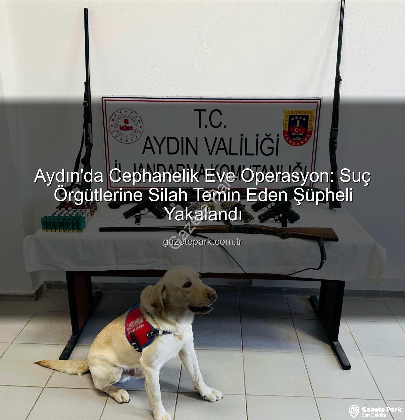 ruhsatsız silah - Aydın'da Cephanelik Eve Operasyon: Suç Örgütlerine Silah Temin Eden Şüpheli Yakalandı