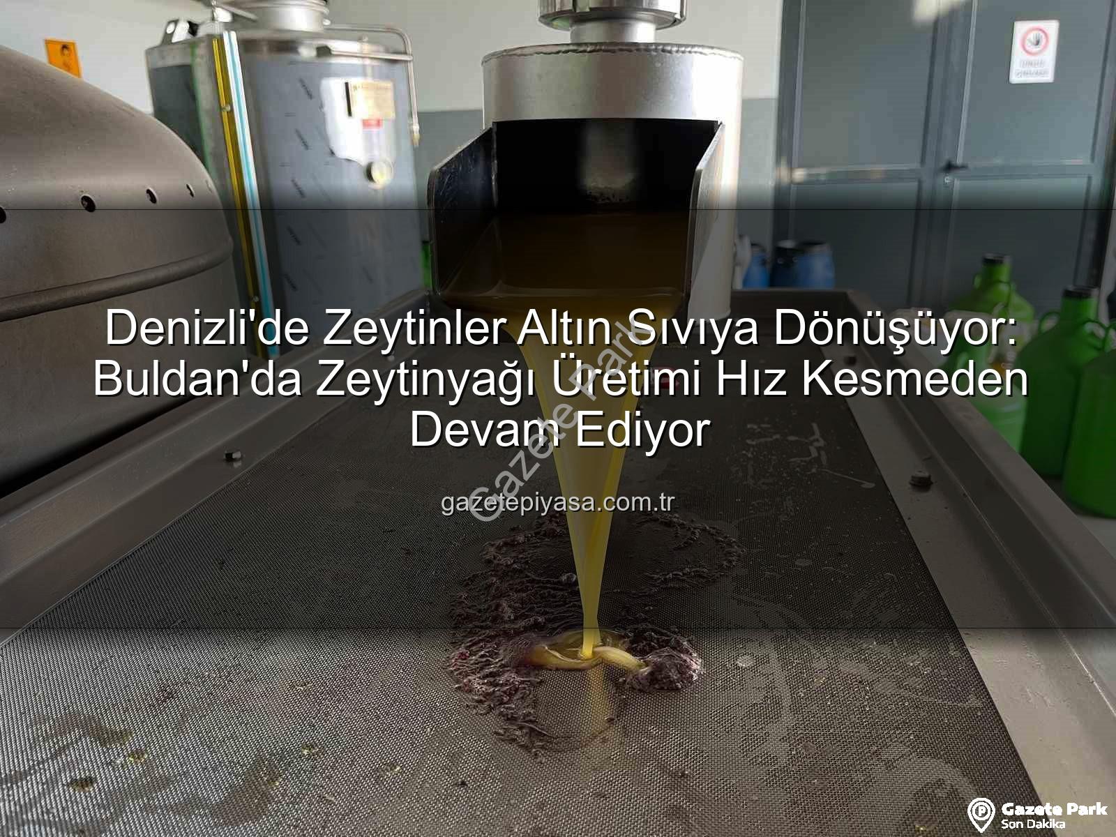 zeytin yağı üretimi - Denizli'de Zeytinlerin Altın Sıvıya Yolculuğu: Üreticiden Sofraya Bereket