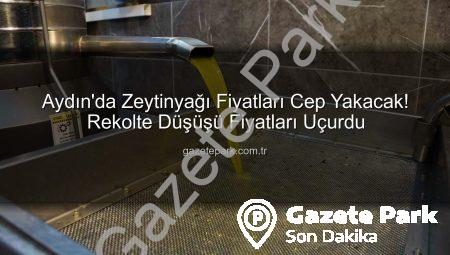 Aydın’da Zeytinyağı Fiyatları Cep Yakacak! Rekolte Düşüşü Fiyatları Uçurdu