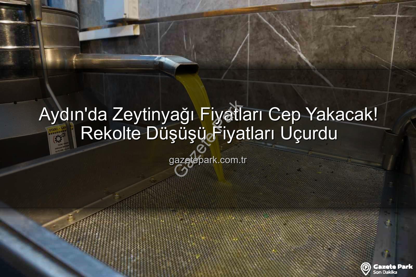 zeytinyağı fiyatları - Aydın'da Zeytinyağı Fiyatları Cep Yakacak! Rekolte Düşüşü Fiyatları Uçurdu