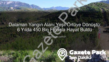 Dalaman’da 6 Yıl Önce Yanan Alanlar Yeniden Yeşerdi: 450 Bin Fidan Toprakla Buluştu
