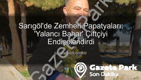 Sarıgöl’de Zemheri Papatyaları: ‘Yalancı Bahar’ Çiftçiyi Endişelendirdi